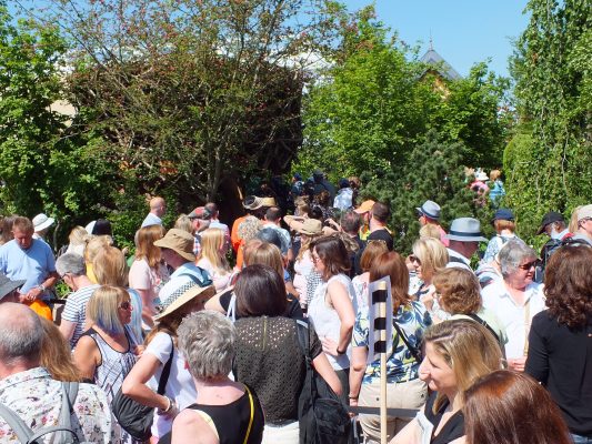 Crowds at the Chelsea Flower Show are huge.