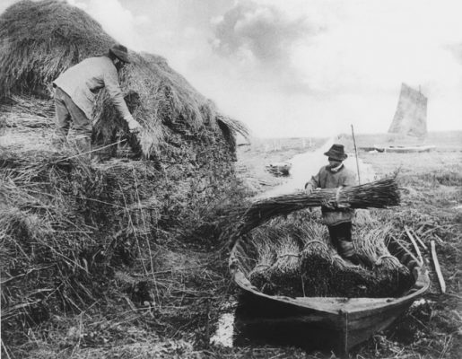 The Norfolk Broads area contains some fascinating history.