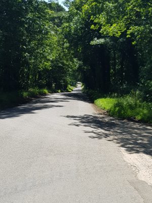 The roads around the Norfolk Broads are quite narrow for a motorhome.