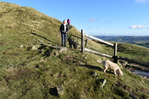 Getting outside while pet sitting in the UK