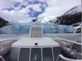 Glacier spotting in Patagonia World Travellers Riccarton
